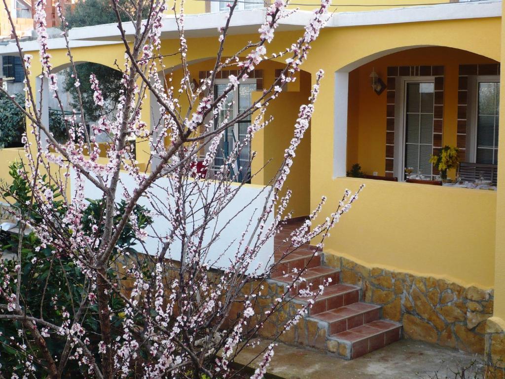 Apartments Brac Supetar Exterior foto